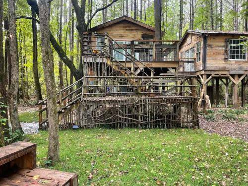 A wooden treehouse with stairs surrounded by trees and greenery in a forested area.