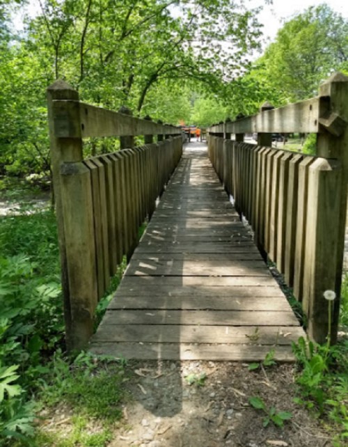 A wooden bridge leads through lush greenery, with trees lining the path and a glimpse of orange in the distance.