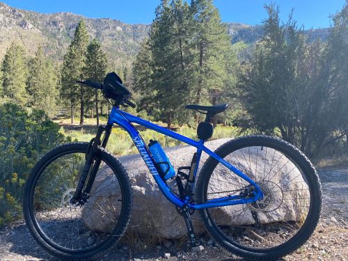 A blue mountain bike rests against a large rock in a scenic outdoor setting with trees and mountains in the background.