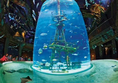 A large aquarium with a central structure surrounded by various fish, illuminated in a dark, immersive environment.
