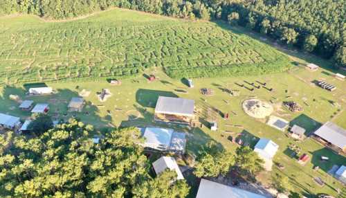 Aerial view of a large corn maze surrounded by fields, structures, and scattered equipment in a rural area.