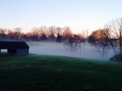 A serene landscape with fog covering a grassy field, trees in the background, and a rustic wooden structure.