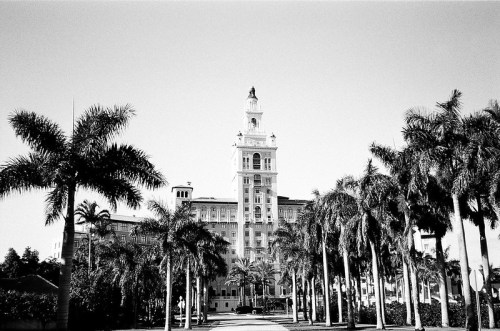 Historic building with a tall clock tower, surrounded by palm trees against a clear sky. Black and white photo.