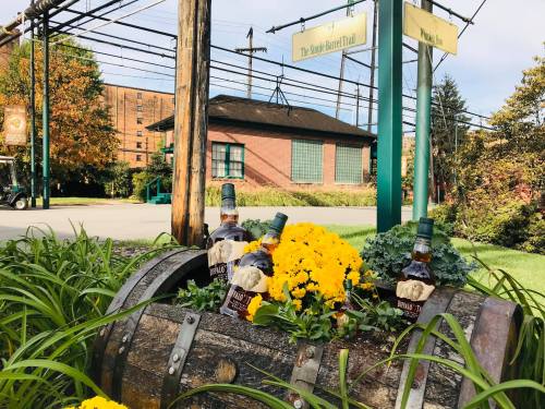 A wooden barrel filled with yellow flowers and bottles, set against a backdrop of greenery and a building.