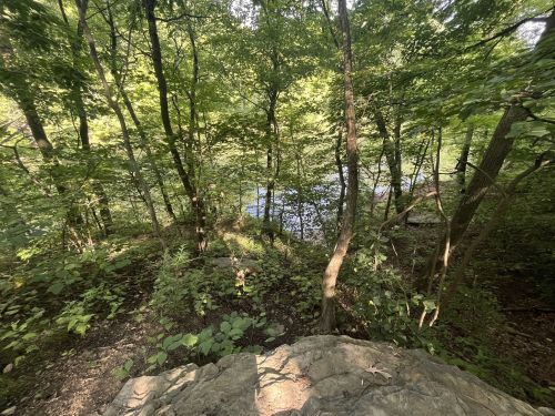 A rocky ledge overlooking a lush green forest with a river visible through the trees. Sunlight filters through the leaves.
