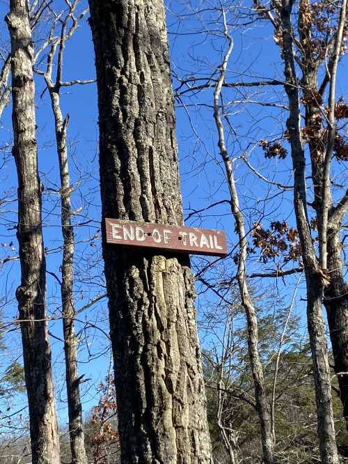 A wooden sign on a tree reads "END OF TRAIL," surrounded by bare trees against a clear blue sky.