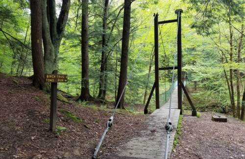 A wooden suspension bridge over a forested area, with a sign for Birch Trail and Tom's Run nearby.