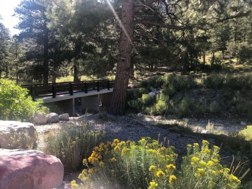 A serene landscape featuring a wooden bridge, lush greenery, and vibrant yellow flowers under a sunny sky.