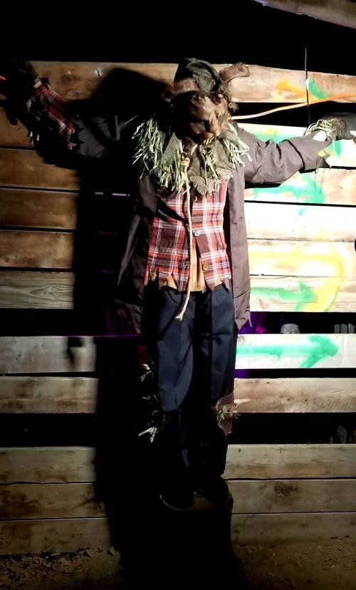 A scarecrow figure with a plaid shirt and straw details, hanging against a wooden wall with colorful graffiti.