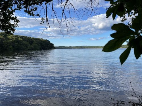 A serene lake view framed by tree branches, with calm water reflecting a blue sky and fluffy clouds.