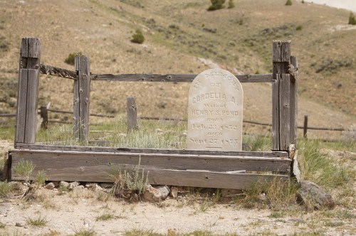 Gravestone of Cordelia A. Pond, wife of Henry S. Pond, surrounded by a wooden fence in a rural setting.