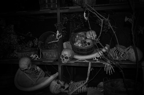 A dark shelf filled with skeletons and skulls, surrounded by baskets and eerie foliage.
