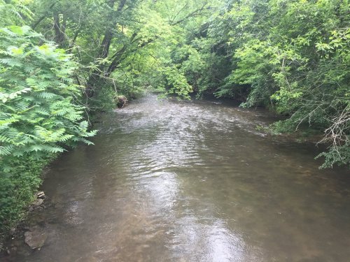 A serene river flows through a lush green landscape, surrounded by trees and foliage.