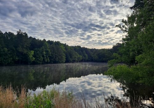 A serene lake surrounded by trees, reflecting a cloudy sky at dawn, with mist rising from the water's surface.