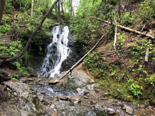 A serene waterfall cascades down rocky terrain, surrounded by lush green foliage and trees.