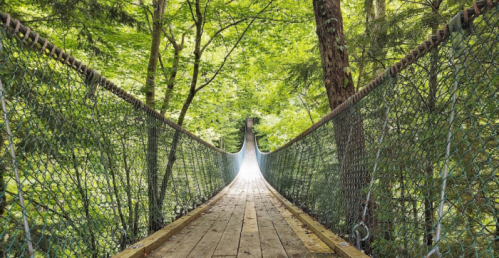 A wooden suspension bridge stretches through a lush green forest, leading into bright light at the far end.
