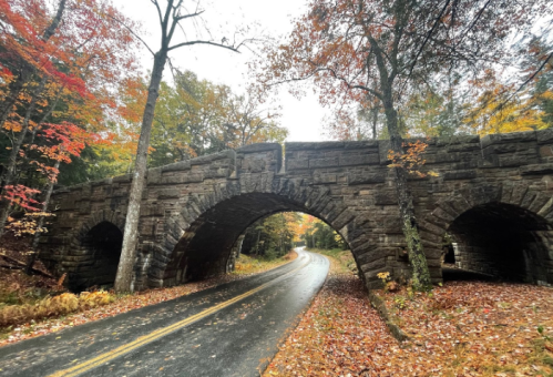 Stone arch bridge over a winding road, surrounded by colorful autumn trees on a rainy day.