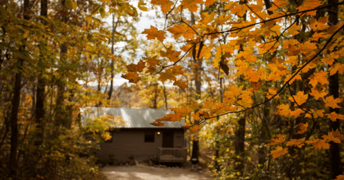A cozy cabin nestled in a forest, surrounded by vibrant autumn leaves in shades of orange and yellow.