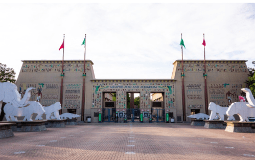 Entrance to the Memphis Zoo and Aquarium, featuring Egyptian-style architecture and white animal sculptures.