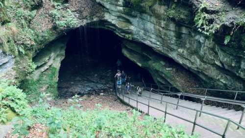 A group of people descends a staircase into a dark cave surrounded by lush greenery and rocky walls.