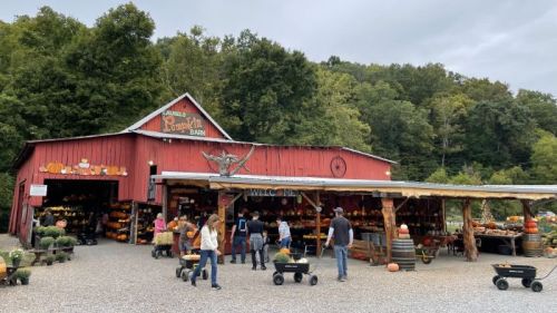 A red barn with a sign, surrounded by people shopping for pumpkins and fall produce in a rural setting.