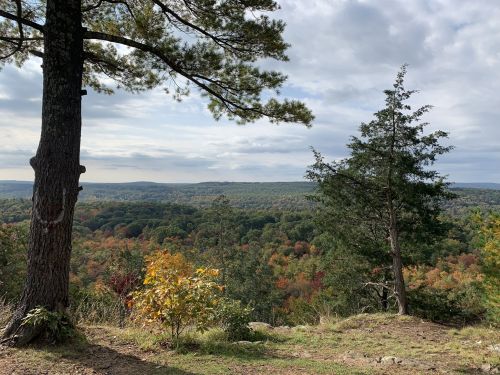 A scenic view from a rocky overlook, featuring trees and a colorful forest landscape under a cloudy sky.