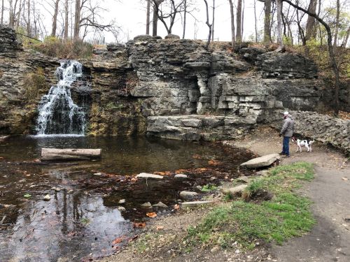 A person stands by a small waterfall and pond, with a dog nearby, surrounded by rocky terrain and trees.