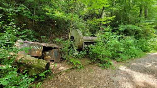 Rusty machinery and old signs overgrown with greenery along a forested path.