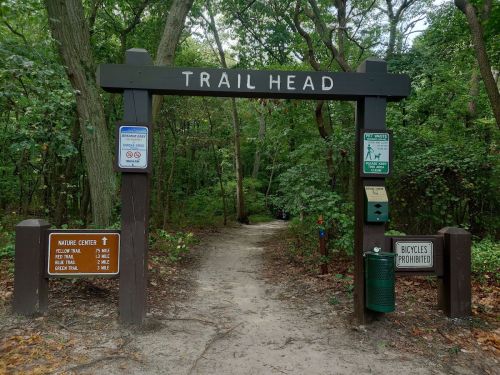A wooden trail head sign in a forest, with directions and rules for hikers, including a no bicycles sign.