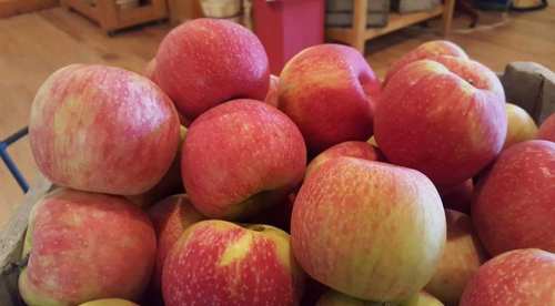 A close-up of a basket filled with red and yellow apples, showcasing their shiny skin and fresh appearance.