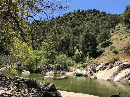 A serene river scene surrounded by lush greenery and rocky banks under a clear blue sky.