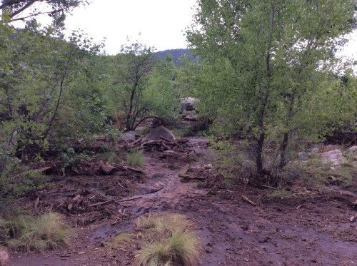 A muddy trail surrounded by trees and rocks, with lush greenery and a cloudy sky in the background.