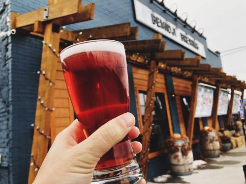 A hand holds a glass of red beer in front of a rustic brewery with wooden accents and festive decorations.