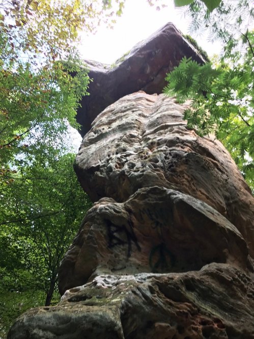 A tall rock formation covered in graffiti, surrounded by lush green trees and sunlight filtering through the leaves.