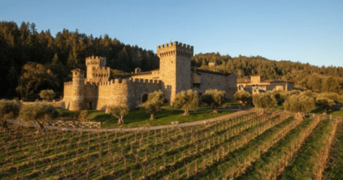 A stone castle with towers surrounded by vineyards and trees under a clear blue sky.
