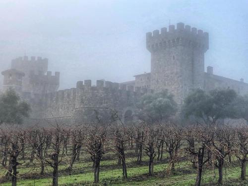 A misty scene of a stone castle with towers, surrounded by bare vineyards and a foggy atmosphere.