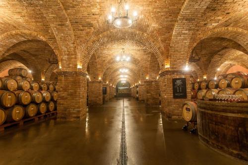 A dimly lit wine cellar with arched brick ceilings, wooden barrels lined along the walls, and warm lighting.