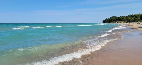 A serene beach scene with gentle waves lapping at the shore under a clear blue sky. Green trees line the background.