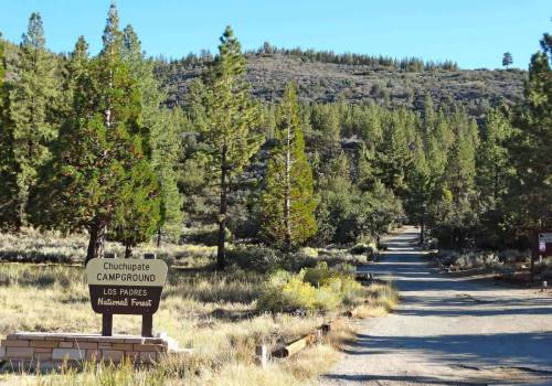 A dirt road leads into a forested area with tall pine trees, marked by a sign for Chuchupate Campground.