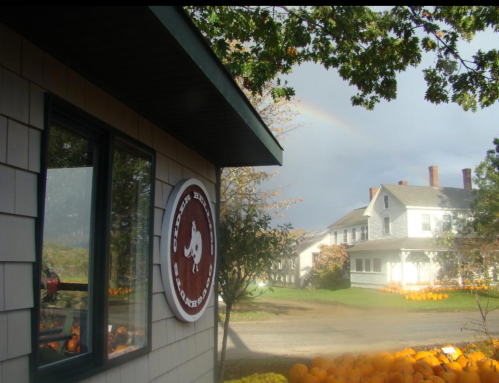 A farm stand with pumpkins outside, a rainbow in the sky, and a house in the background on a cloudy day.