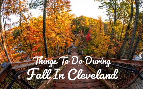 A scenic view of a wooden staircase surrounded by vibrant autumn foliage in Cleveland, with text overlay about fall activities.