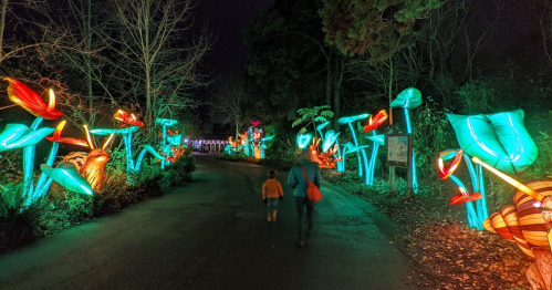 A child and an adult walk down a path illuminated by colorful, glowing flowers at night.
