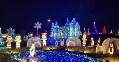 Colorful holiday lights display featuring penguins, igloos, and snowflakes in a festive nighttime setting.