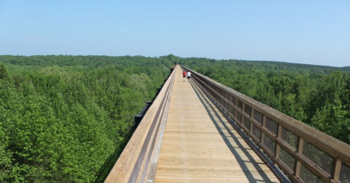 A wooden bridge stretches over lush green trees under a clear blue sky, with two people walking in the distance.
