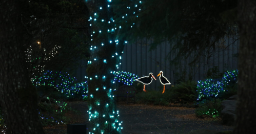 A serene scene with trees wrapped in blue lights and two illuminated birds in a garden setting.