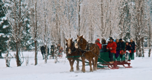 Two horses pull a sled through a snowy landscape, with people enjoying a winter outing among snow-covered trees.