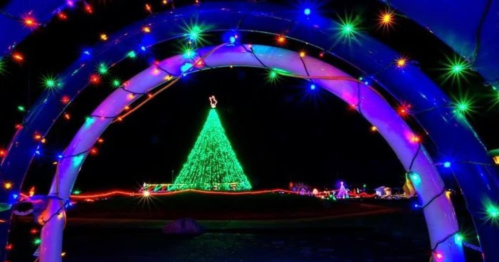 A colorful display of Christmas lights, featuring a large green tree illuminated in the background.