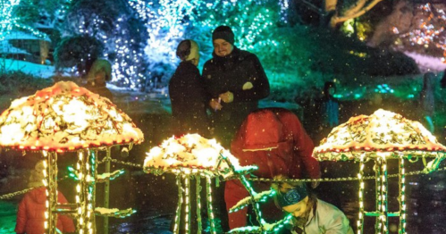 People enjoying a festive light display with illuminated mushroom sculptures in a colorful, vibrant setting.