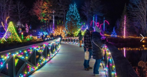 A couple stands on a lit bridge surrounded by colorful holiday lights and trees at night.