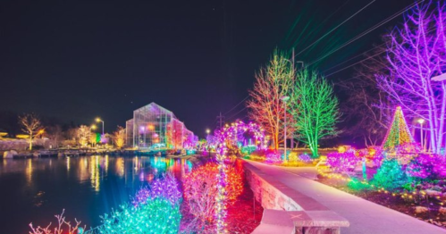 Colorful lights illuminate a pathway along a waterway, with trees and buildings glowing in vibrant hues at night.
